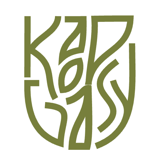 Kaopy Gasy